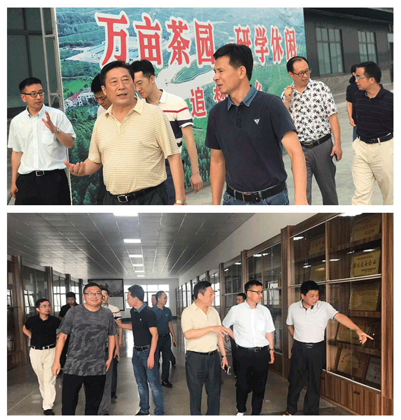 光影魔術(shù)手拼圖0.gif 光影魔術(shù)手拼圖0.gif