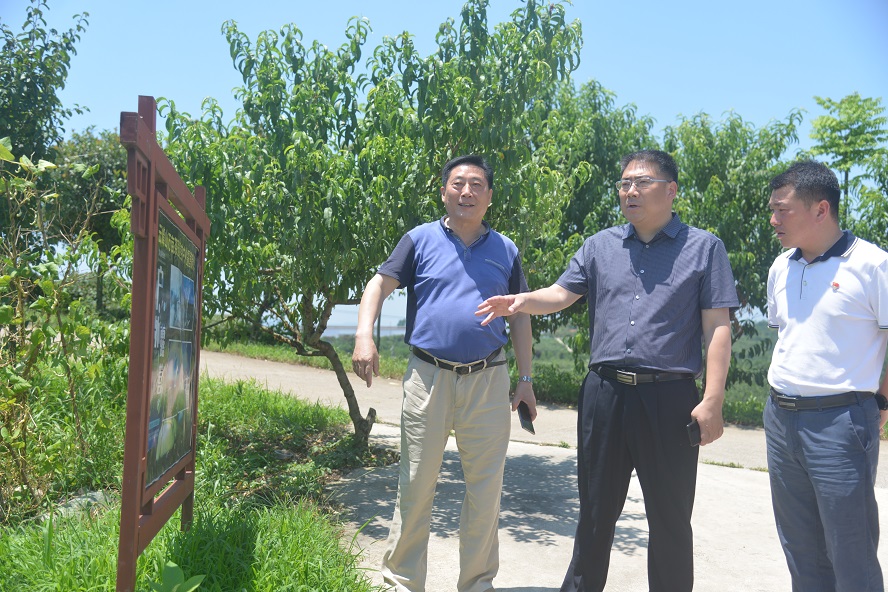 DSC_5607.JPG DSC_5607.JPG