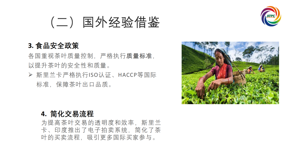 楚茶出海1105_58.png