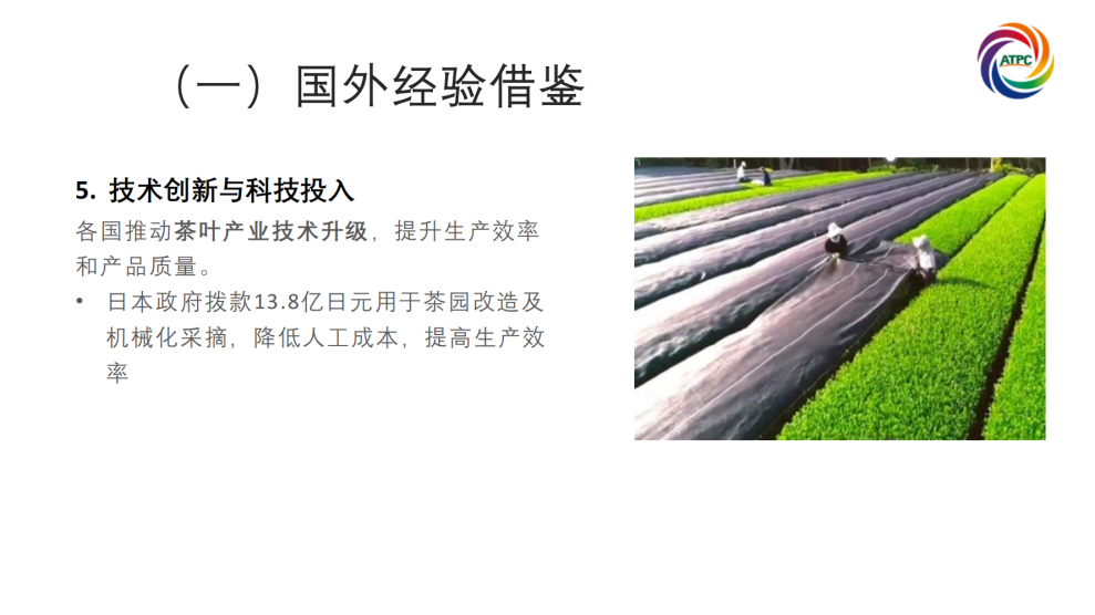 楚茶出海1105_59.png