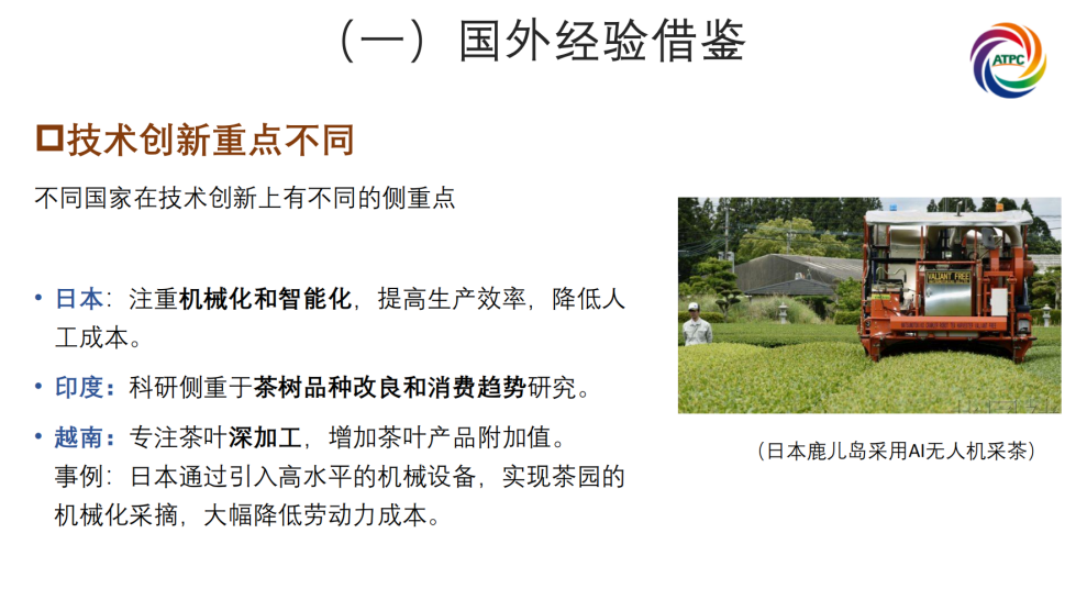 楚茶出海1105_62.png