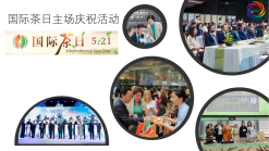 楚茶出海1105_79.png