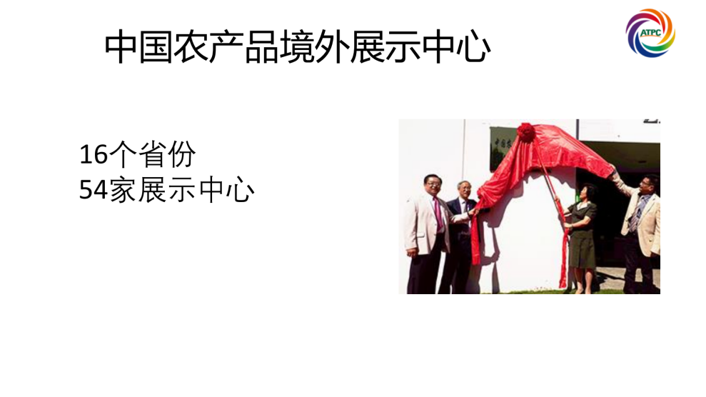 楚茶出海1105_82.png